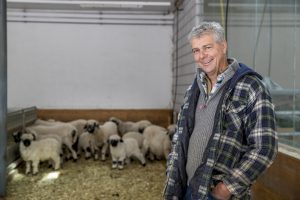 Farmer Paul Julen knows every single black nose sheep of his farm in Zermatt.