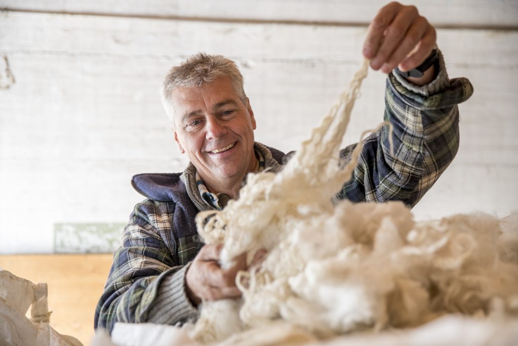 Zermatt Schwarznasen Schafzüchter Paul Julen