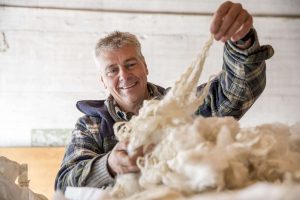 Black nose sheep wool Zermatt farmer