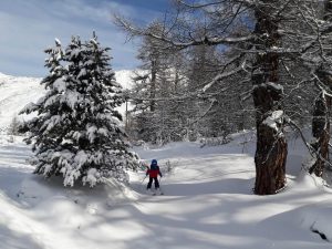 Skifahren mit Familie auf Sunnegga in Zermatt