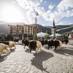 Goats tour with the most photographed goats in the world.