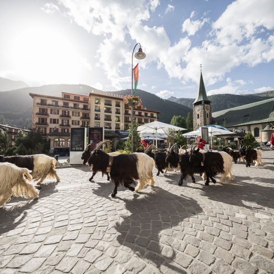 Your Summer Bucket List in Zermatt Matterhorn