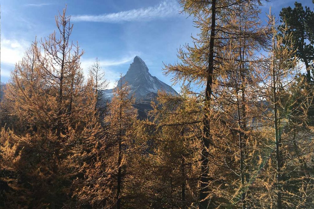 Herbstlandschaft vor dem Matterhorn