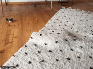 Katze versteckt sich unter dem Teppich