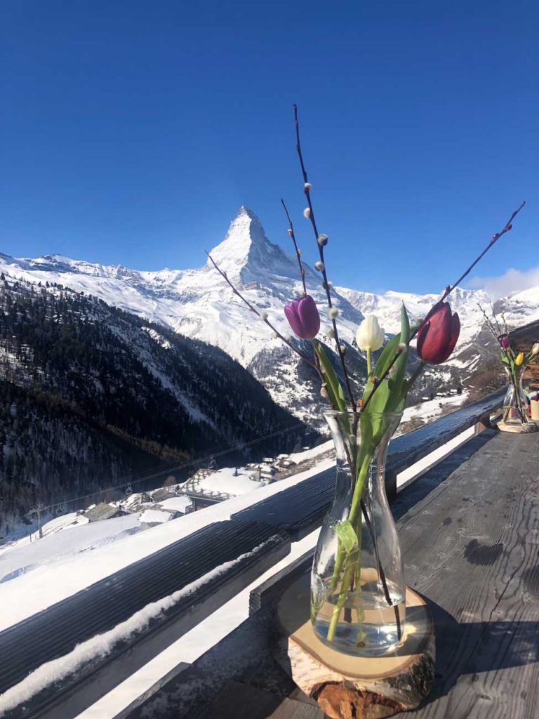 Blumenvase mit im Hintergrund das Matterhorn