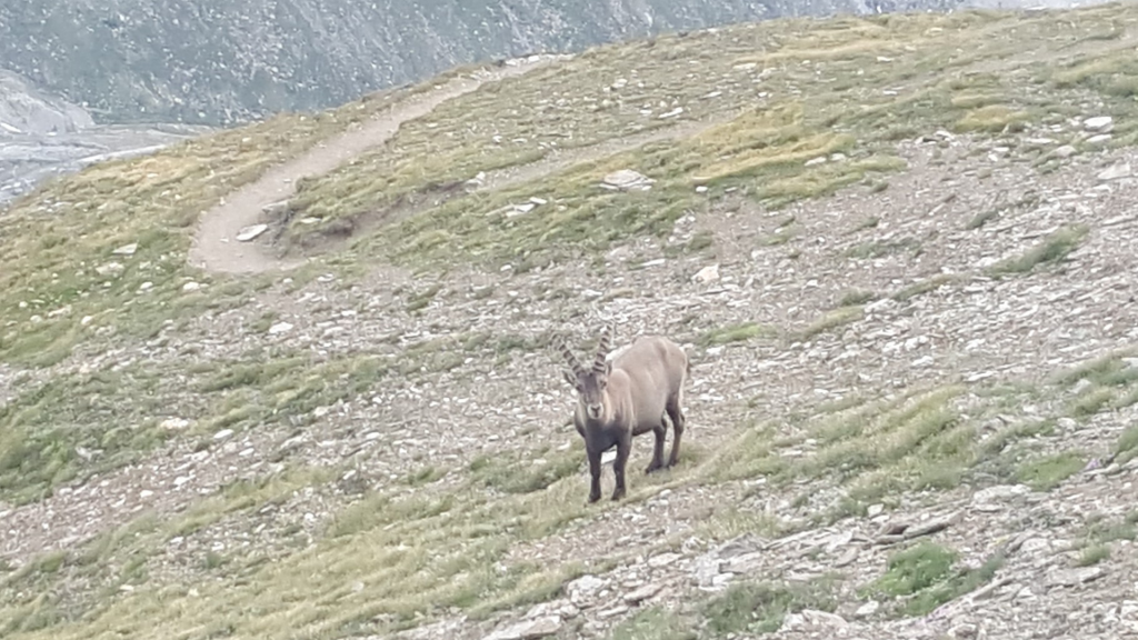 zermatt