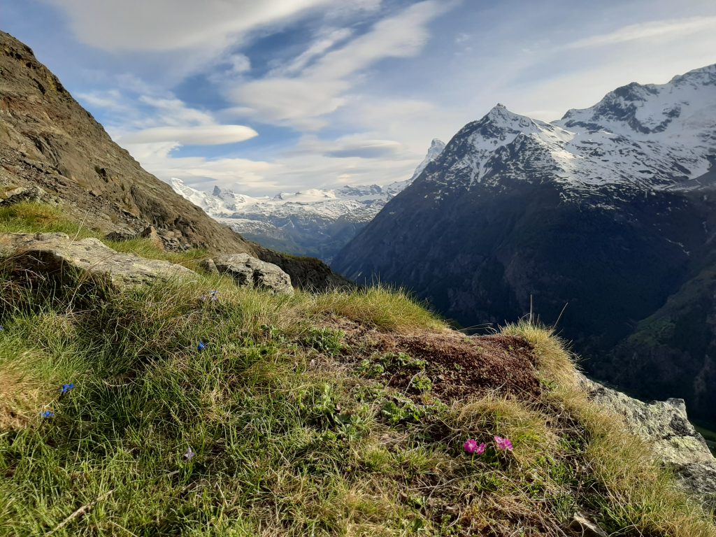 Fotopoints: Spotted - ausserhalb von Zermatt