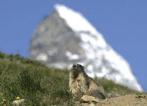 Vorbereitung perfekter Wandertag