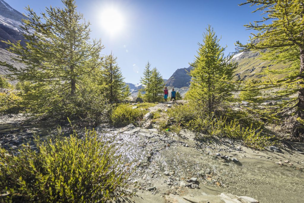 Vorbereitung perfekter Wandertag