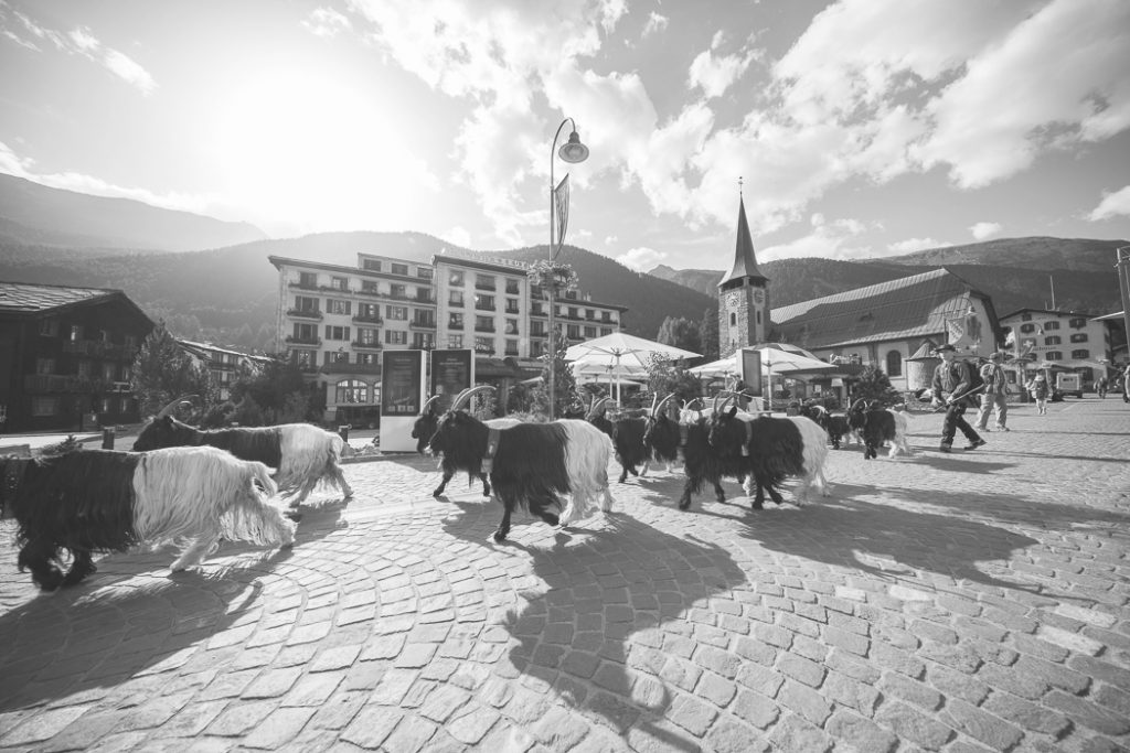 Geissenkehr in Zermatt