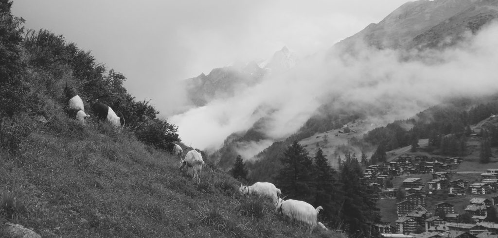 Geissenkehr Zermatt