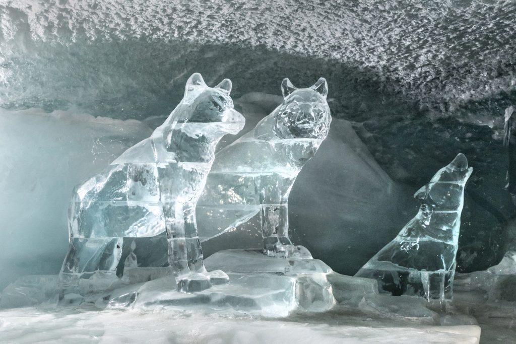 Wölfe aus Eis geformt im Gletscherpalast ©Zermatt Bergbahnen