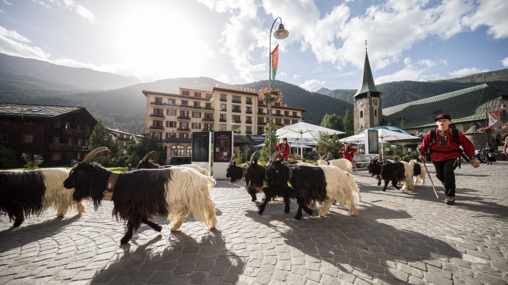 Der Geissenkehr in Zermatt