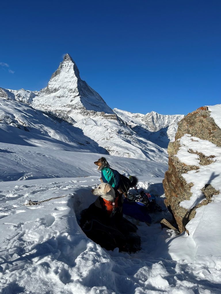 Warten auf den Einsatz © Zermatt Tourismus