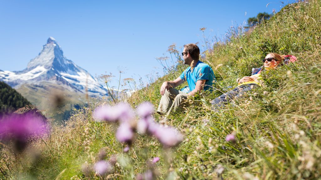 Flora in Zermatt © Pascal Gertschen