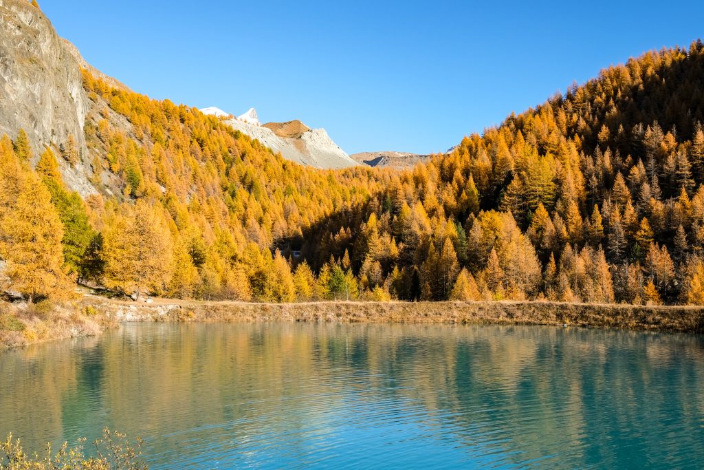 Herbstzeit Zermatt